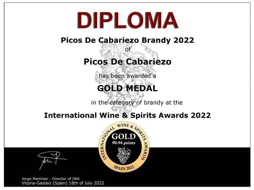 diploma-international-wine-brandy-picos-cabariezo